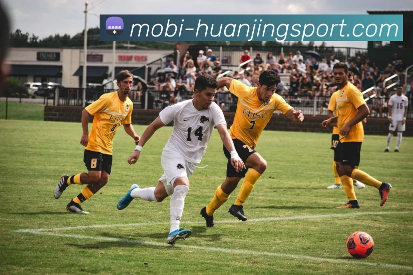 多媒体互动体验